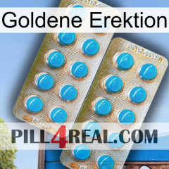 Golden Erection new08